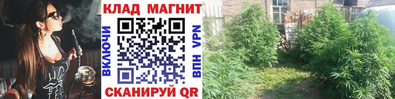 Где найти наркотики Ногинск ГАШИШ Бошки Шишки кракен маркетплейс МЕФ СК