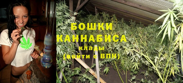 ПСИЛОЦИБИНОВЫЕ ГРИБЫ Коряжма