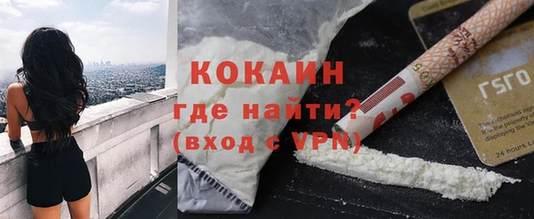 индика Костерёво