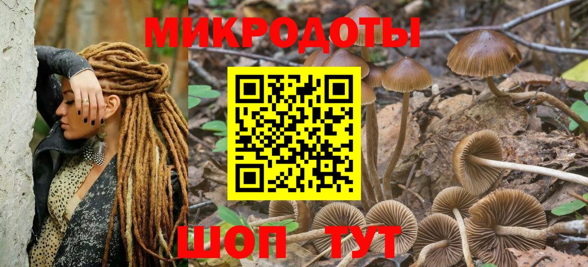 Псилоцибиновые грибы Cubensis Ногинск