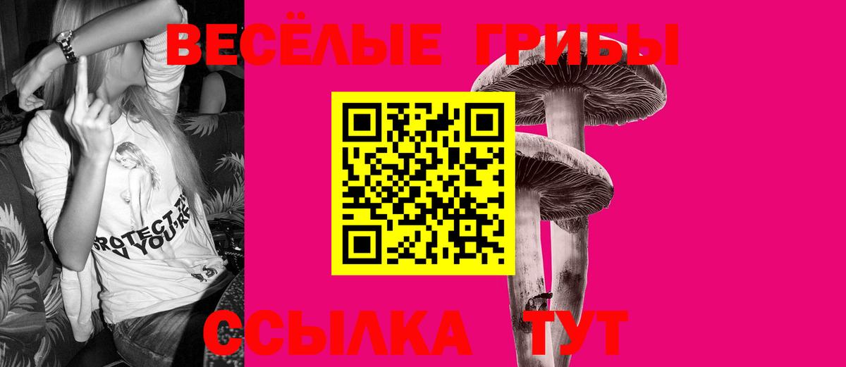 Галлюциногенные грибы Psilocybine cubensis  Вход с VPN  Ногинск  Галлюциногенные грибы Psilocybe 